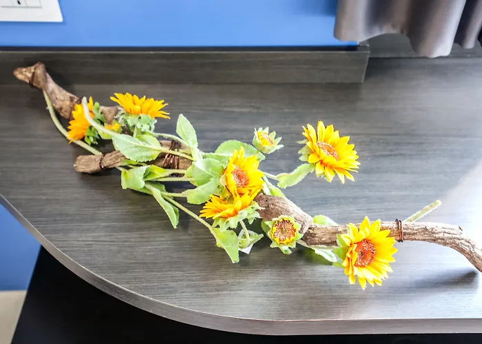 Oceanomare بونتا مارينا